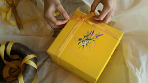 l'Occitane gift box christmas